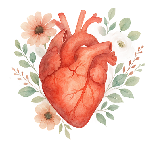 Desenho de um coração feito por Talita